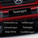 Kennzeicheneinleger Fahrzeugarten im Mercedes-Benz Design